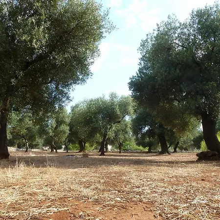 Tenuta Serre *