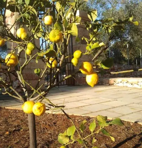 Tenuta Serre בית חווה