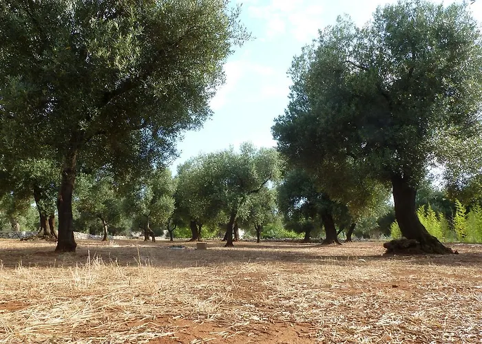 Tenuta Serre *