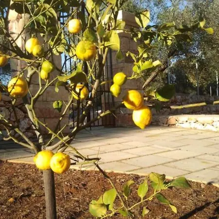 Tenuta Serre Κατάλυμα σε φάρμα