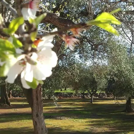 Tenuta Serre Κατάλυμα σε φάρμα