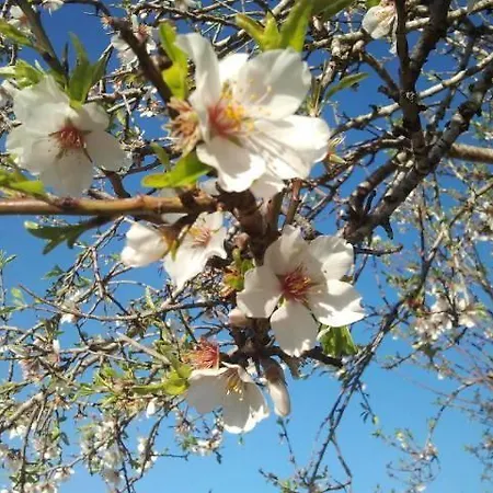Tenuta Serre Κατάλυμα σε φάρμα Salve