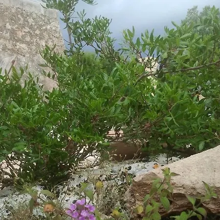 Κατάλυμα σε φάρμα Tenuta Serre *