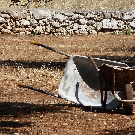 Tenuta Serre Salve