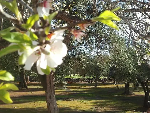 Tenuta Serre Farma
